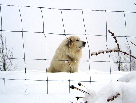 Februar 2009